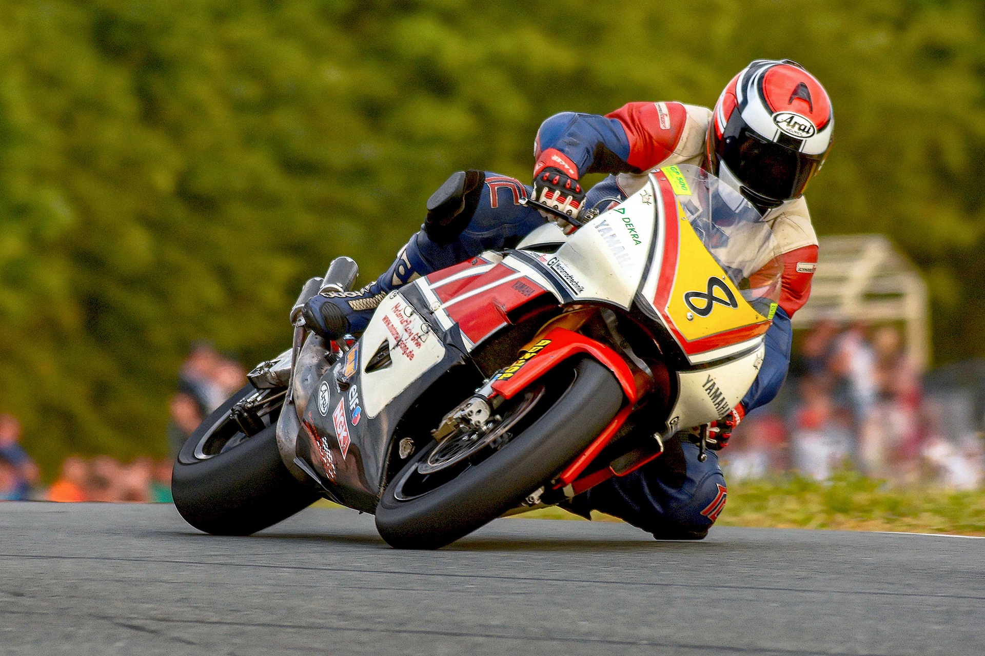 Wolfgang Rolf Becker IGK kl